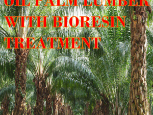 Oil Palm Lumber With Bioresin Treatment